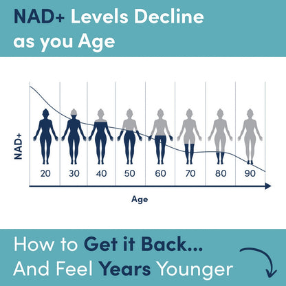 Simply Nootropics NMN Capsules for NAD+